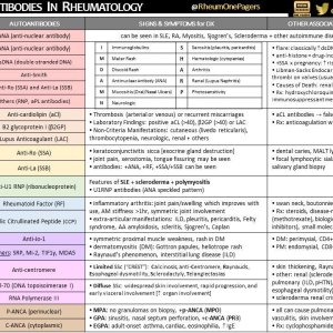 rheumatology-table-diagnosis-associations-autoantibodies-960w.jpeg