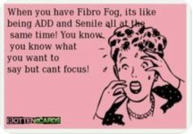erl 2021-02-02 pix 7 Fibro fog like ADD and senile.jpg