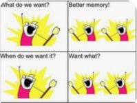 pix 8 What do we want5 Better Memory!.jpg