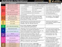 rheumatology-table-diagnosis-associations-autoantibodies-960w.jpeg