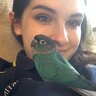 conure_flock