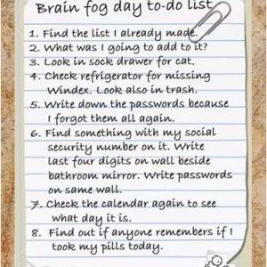 erl 2021-02-02 pix 8 Brain fog to-do list.jpg