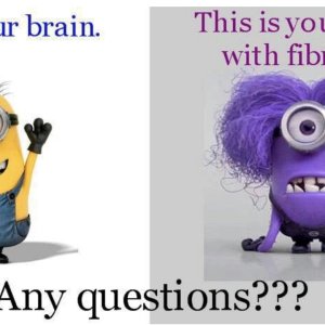 erl 2021-02-02 pix 7 your brain with fibro fog.jpg