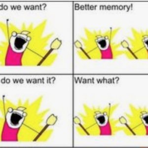 pix 8 What do we want5 Better Memory!.jpg