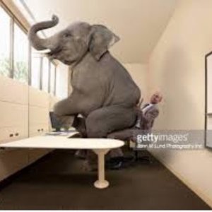 erl 2022-05-31 ElephantSittingOnManAtDesk.jpg