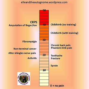 Media 'mcgill-pain-index-final.jpeg' in category 'General Forum Media'